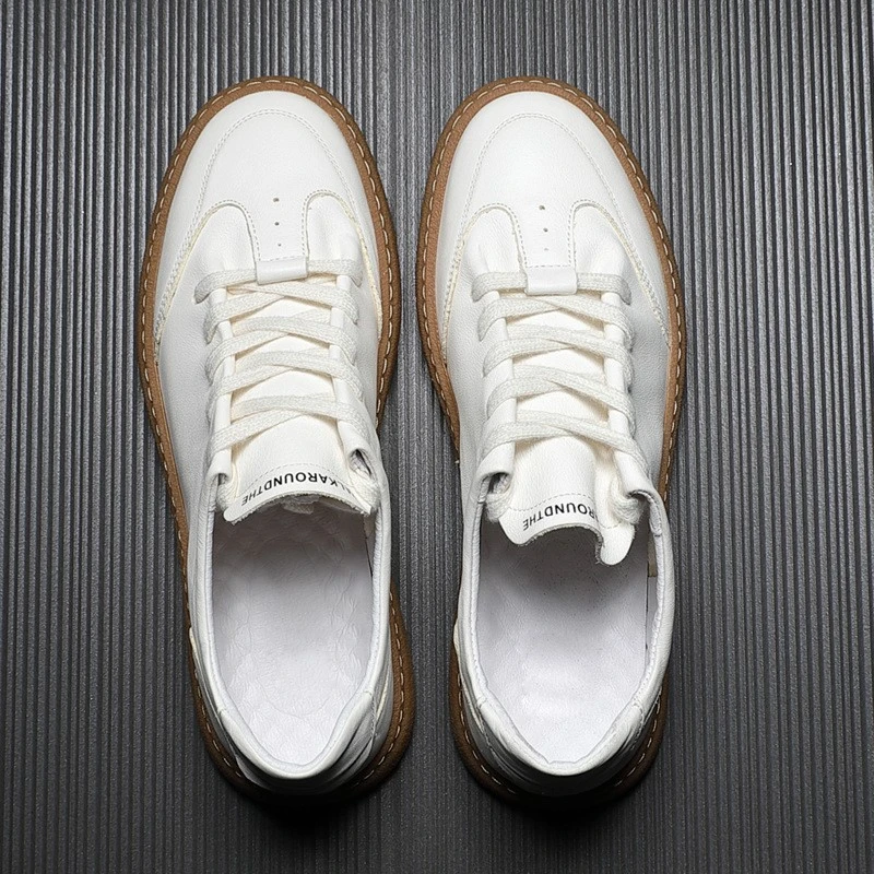 product-800-800